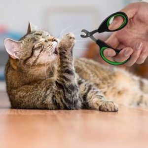 Coupe griffe pour chat - GRIFFACHAT™