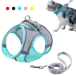 Harnais pour Chat Réglable : Sécurité et Confort