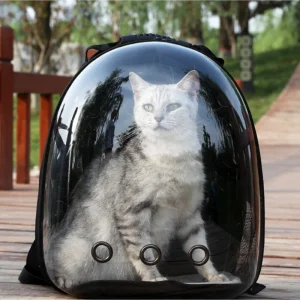 Sac à dos capsule transparente chat 🐱